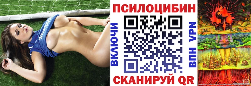 omg вход  цены наркотик  Власиха  Галлюциногенные грибы ЛСД 